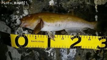 �����ʥ�