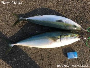 ��饵