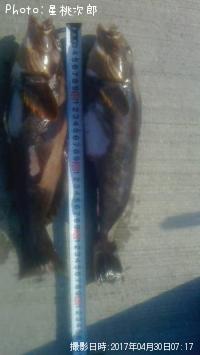 �����ʥ�