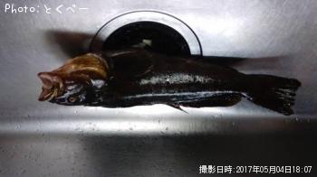 �����ʥ�