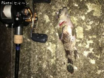 ��饽��