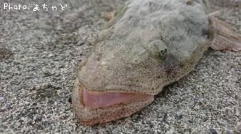 �����̥��̡ڥߥʥߥޥ�����