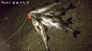 �����Х�