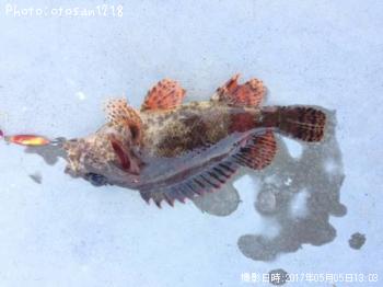��饽��