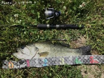 �֥�å��Х�