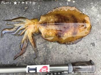 �����ꥤ��