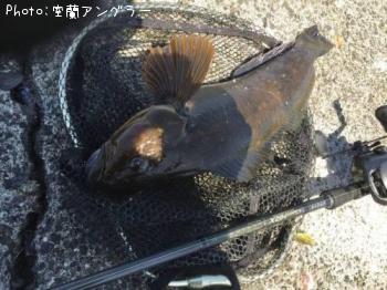 �����ʥ�