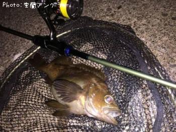 ������Х�