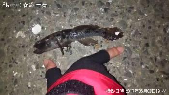 ¥Ï¥¼¤ÎÃç´Ö