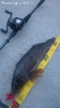 �����ʥ�