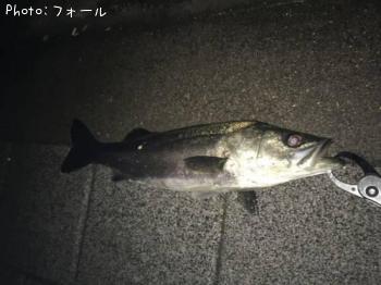 �����Х�