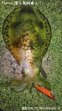 �����ꥤ��