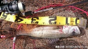 �����Х�