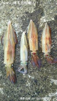 ���󥵥�����