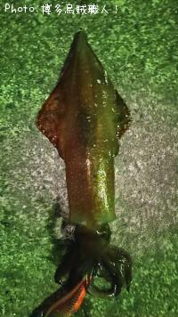 ���󥵥�����