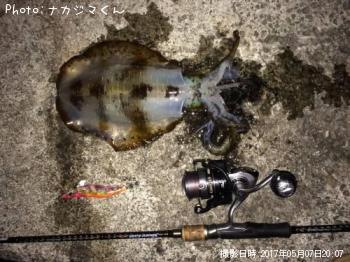 ¥¢¥ª¥ê¥¤¥«