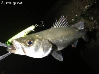 �����Х�