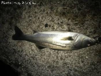 �����Х�