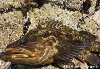 �٥å�������