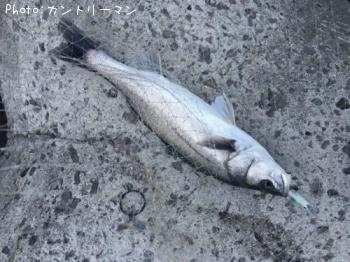 �����Х�