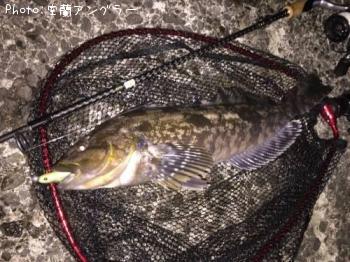 �����ʥ�