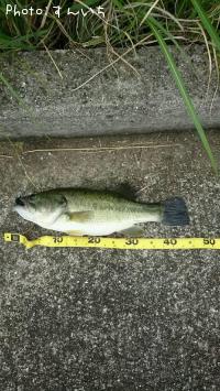 ¥Ö¥é¥Ã¥¯¥Ð¥¹