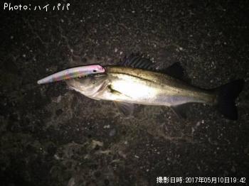 �����Х�