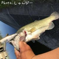 �֥�å��Х�