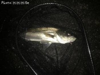 �����Х�