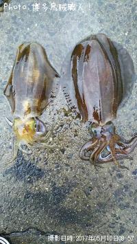 �����ꥤ��