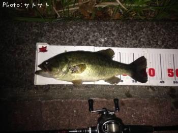 �֥�å��Х�