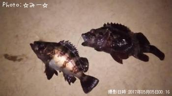 ��Х롦��饽��