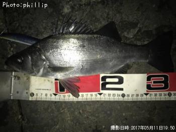 �ҥ饻����