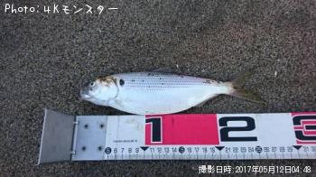 ���Υ���