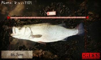 �ҥ饹����