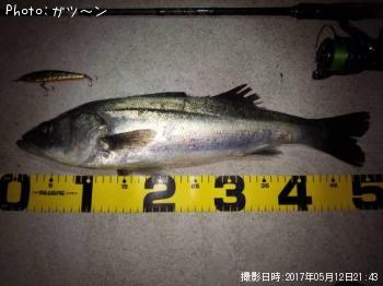 �����Х�