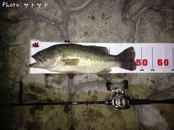 �֥�å��Х�