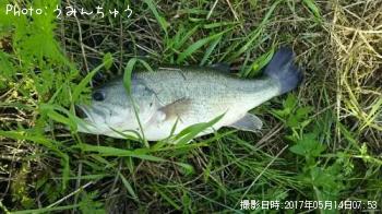 �֥�å��Х�