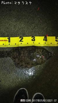 �ޥ����쥤