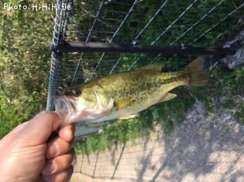 �֥�å��Х�