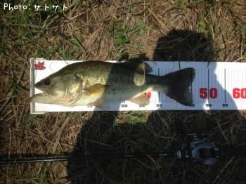 ¥Ö¥é¥Ã¥¯¥Ð¥¹