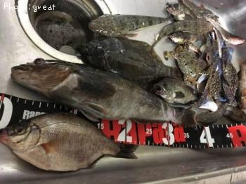 �����ʥᡡ¾