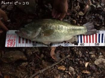 �֥�å��Х�