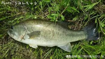 �֥�å��Х�