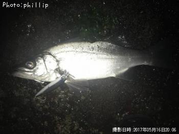 �ҥ饻����