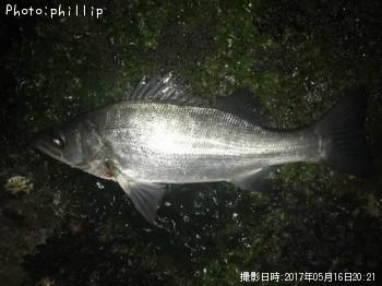 �ҥ饻����