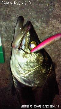 �����Х�