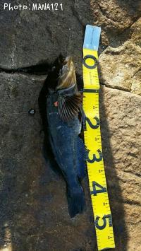 �����ʥ�