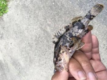 �����Υ���Х�