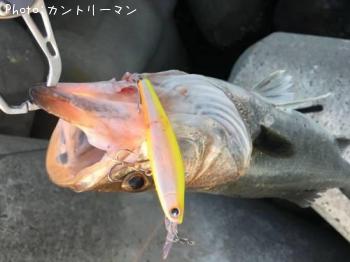 �����Х�